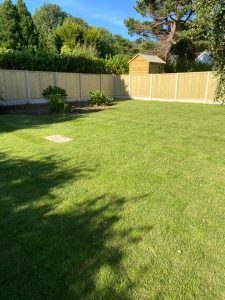 Grass and Fencing