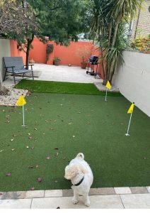 Artificial Grass 1